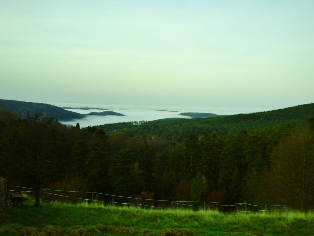 DIAPORAMA 18 PHOTOS - LA MER DE NUAGES........TOUTE L'ALSACE ST RECOUVERTE PAR CETTE MER QUI OCCASSIONNE UN BROUILLARD