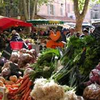 Ce matin, sur le marché de Brignoles