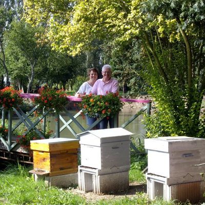 APICULTURE62 59 /APITHERAPIE 62 59 /AROMATHERAPIE 62 59 /NATUROPATHIE 62 59 /FORMATION APICOLE  SUR DADANT ET WARRE62 59/PARRAINAGE DE RUCHES/ INSTALLATION DE RUCHES