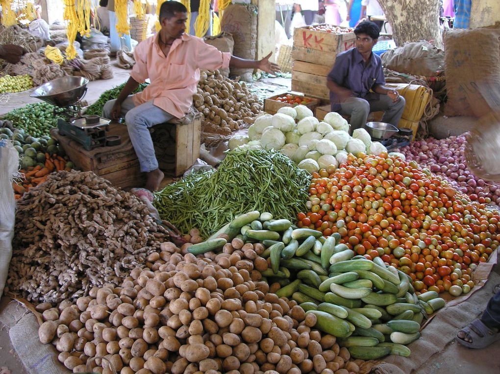 Bangalore, Kundapur, Gokarna, Palolem, Hampi, Mysore, Ooty, Pondicherry, Mamalapuram, chennai, rameswaram, Kanyakumari