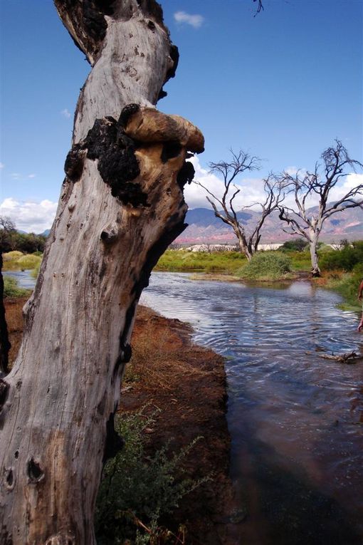 Album - 70.Quebrada-de-las-Conchas (Argentina)