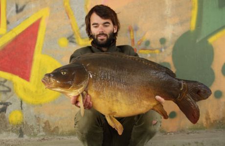 Magic Carp