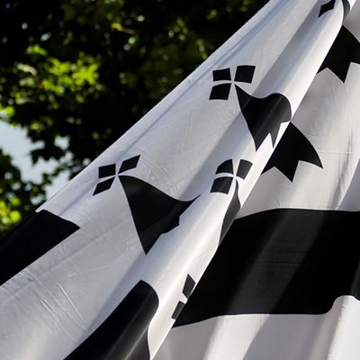 Les Bretons lancent une pétition pour avoir leur drapeau en emoji
