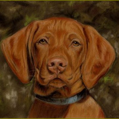 Les chiens en peinture et illustrations -    Angela Franke