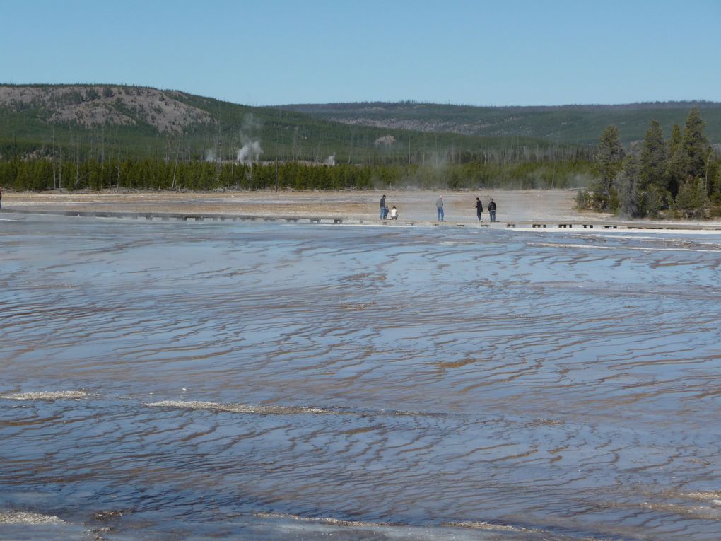 Album - 15.Yellowstone (Wyoming-octobre)