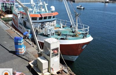 STELISSA PZ.498     IMO.8699663