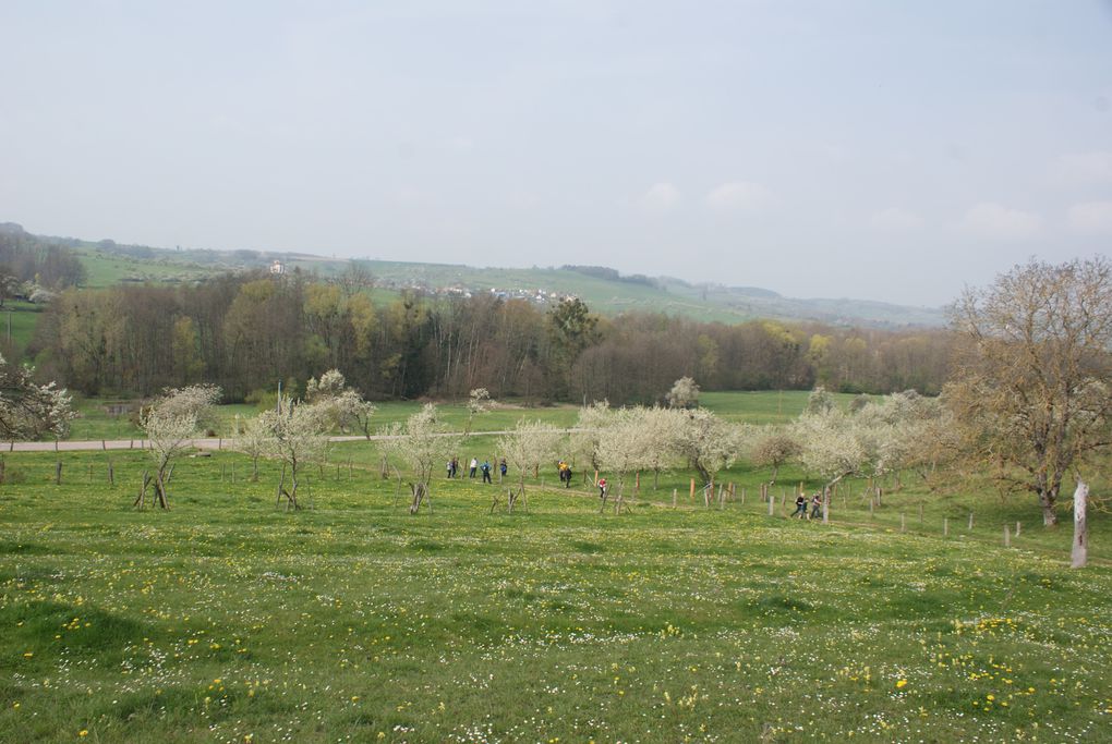 Marche du 14 Avril 2022