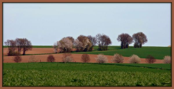 Il fait toujours beau quelque part