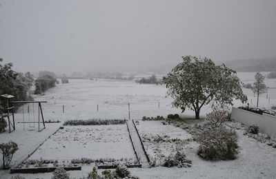 Une virée blanche à l'étang de Virelles