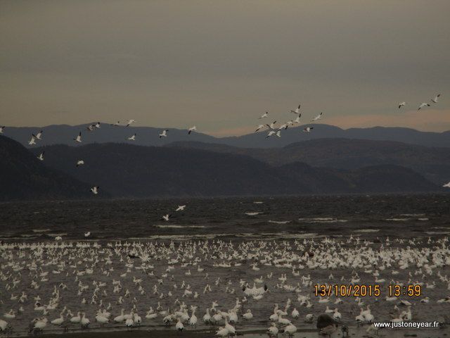 Saguenay lac Saint Jean. Québèc