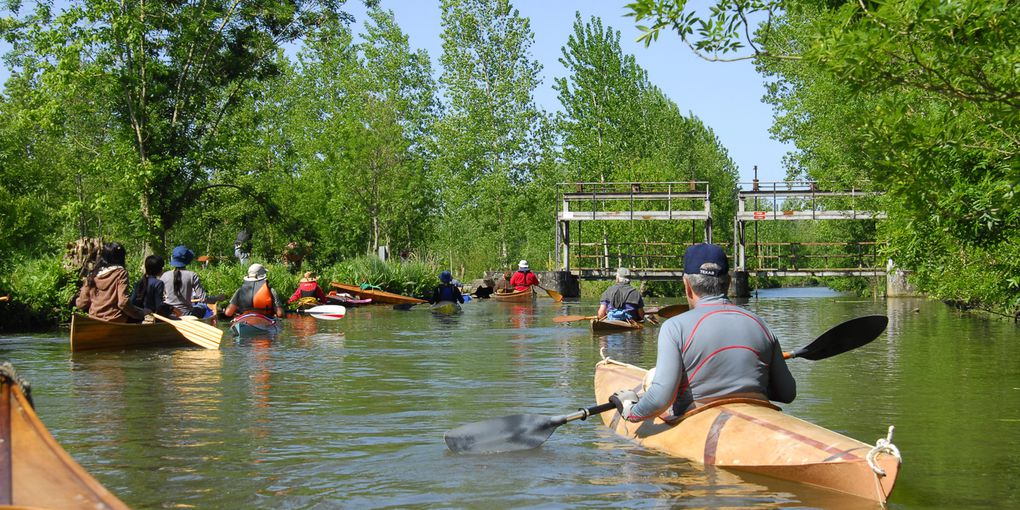 Album - marais-poitevin 2011 -12