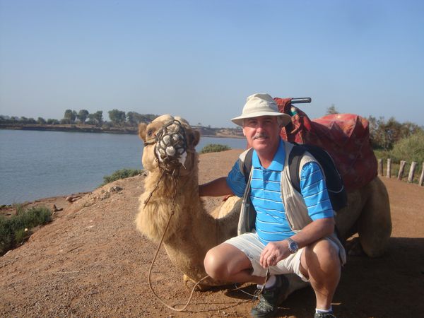 Zacharie et moi. L'ibis chauve, l'embouchure de l'oued Massa et les flamands.