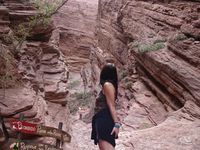 La réserve naturelle de la Quebrada de las Conchas , aussi connu comme la Quebrada de Cafayate est située dans la Valles Calchaquíes dans la province de Salta , au nord de l'Argentine , très proche de la ville de Cafayate . Dans la quebrada coule la rivière de las Conchas où on trouve la trace de la route nationale 68 , qui relie la ville de Cafayate à Salta. Sur le chemin, nous pouvons apprécier une grande variété de paysages et de reliefs, et de couleurs qui se dressent entre la Garganta del Diablo et l'amphithéâtre de roches sédimentaires rougeâtres. La reserva natural Quebrada de las Conchas o también conocida como Quebrada de Cafayate se encuentra ubicada dentro de los Valles Calchaquíes, en la provincia de Salta, norte de la República Argentina, muy cercana a la localidad de Cafayate. Por la quebrada y dentro de la reserva discurre el río de las Conchas donde se encuentra la traza de la Ruta Nacional 68, que une la localidad de Cafayate con la ciudad de Salta.  En el recorrido podemos apreciarse paisajes de colores muy variados y geoformas de gran variedad entre las que se destacan la Garganta del Diablo y el Anfiteatro de rocas sedimentarias rojizas.