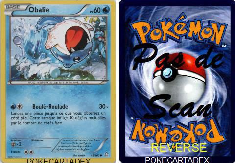 SERIE/XY/PRIMO-CHOC/41-50/45/160