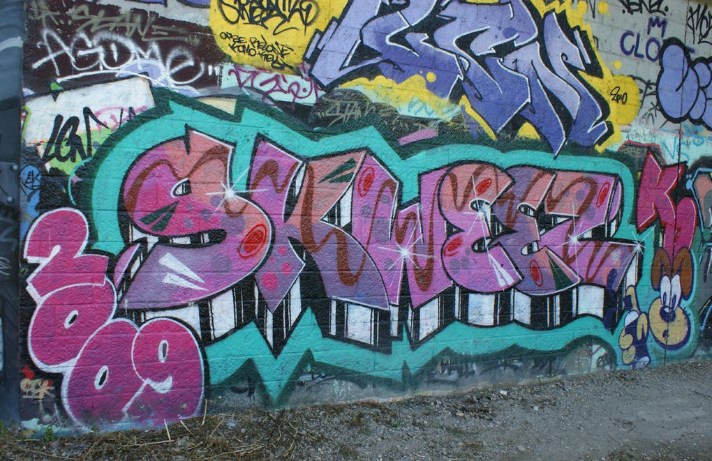 Album - Graffitis-Dept-93-Tom-002