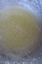 Sauce Béchamel Micro-Ondes