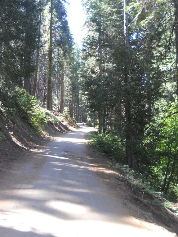 Album - J14 - Dernières randonnées à la rencontre des Sequoïas &amp; des magnifiques chutes de Yosemite !