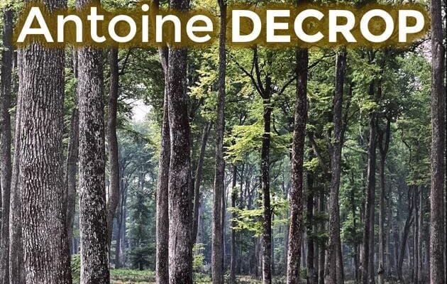 24 mai 2024 : concert gratuit en forêt de Bercé