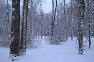 (11) C'est le froid ou la neige?