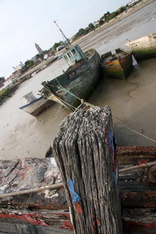 Album - Cimetière de bateaux à Noirmoutier