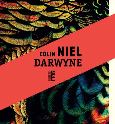 Darwyne  -  Colin NIEL