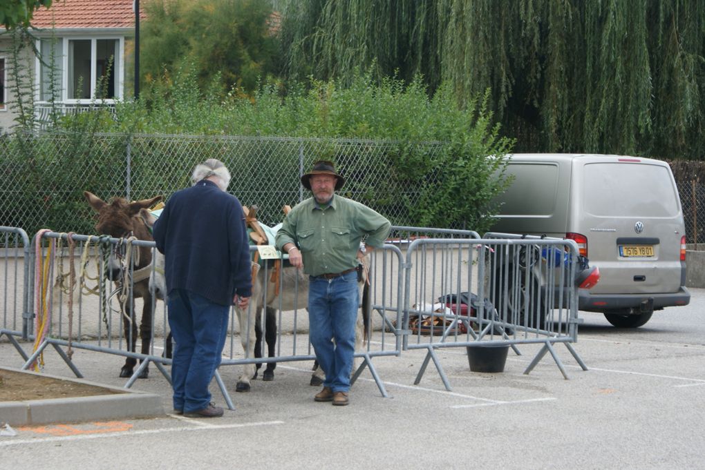 Album - Fêtes de l'âne 2010