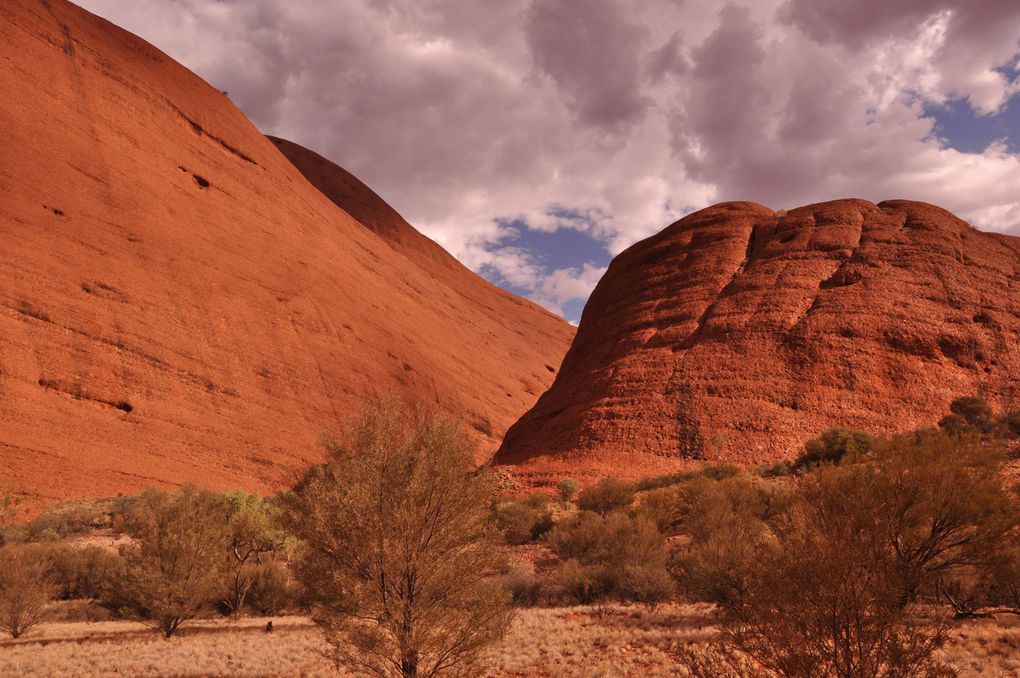 Album - Uluru &amp; Kata Tjuta