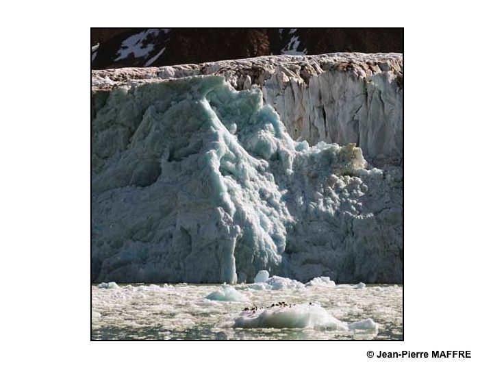 Tous ces glaciers abritent une multitude d'êtres imaginaires. A vous de les découvrir.