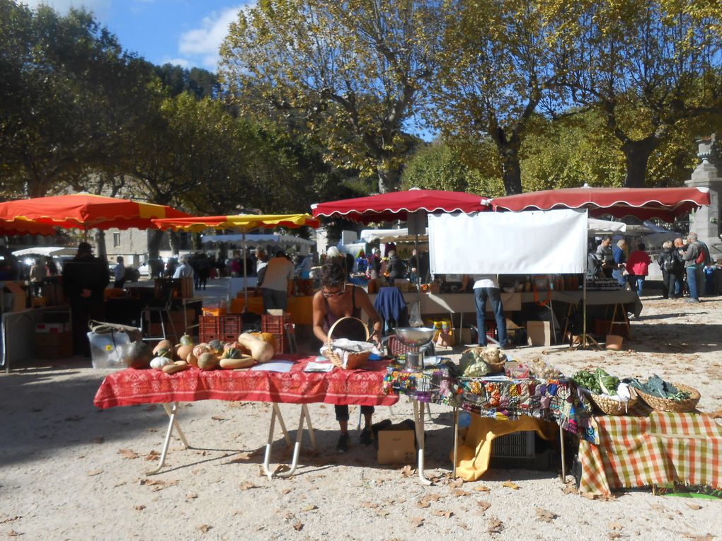 Au fil des stands, les promeneurs ont déambulé.