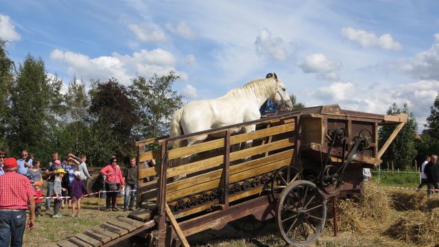 Fête de la Moisson Houlle 2014