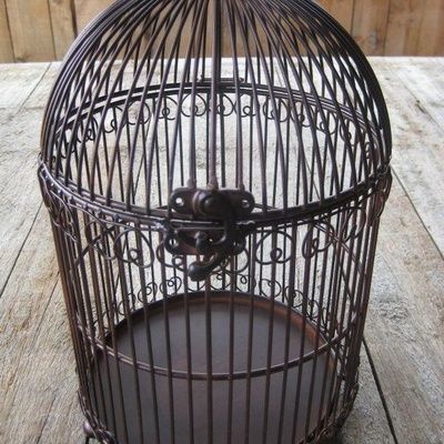 Comment fabriquer une cage aux oiseaux ? (conseils, conception)