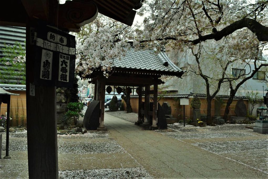 Araiyakushi Baishôin Temple