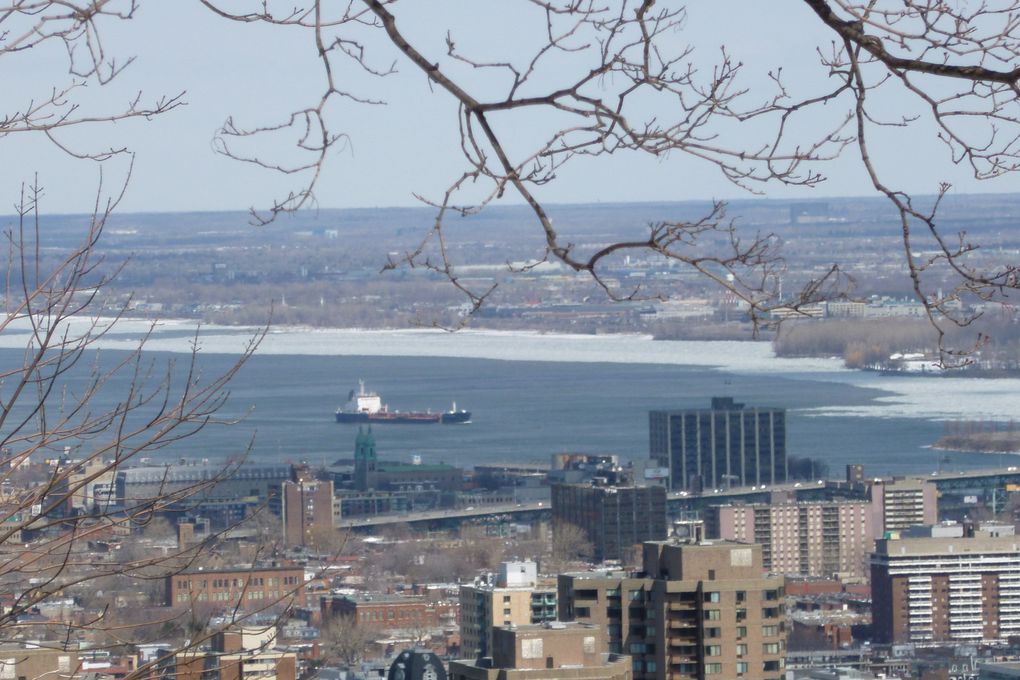 balade au parc du Mont-Royal et dégustation de poutine...