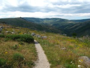 GR 70 - STEVENSON / PARTIE 3 : LE MONT-LOZERE