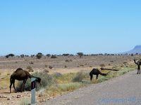 RN12 FoumZguid-Zagora (Maroc en camping-car)