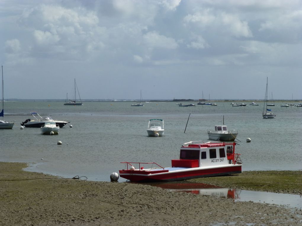 Album - Presqu'île du Cap Ferret