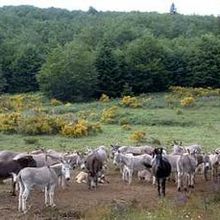 La sortie de crise est pour demain…