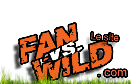 fansvswild.over-blog.com