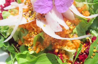 SALADE COLOREE AUX POLLENS POLYFLORAL BALLOT-FLURIN