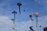Le vent des cerfs-volants à Berck