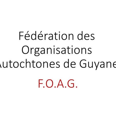 Instance de la Fédération des Organisations Autochtones de Guyane pour la période 2019/2023