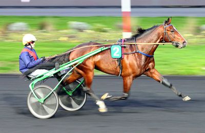 Prix de Bretagne dimanche à Vincennes : JMB contre JMB 