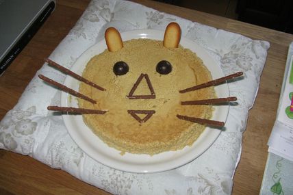 Mon gâteau chat !
