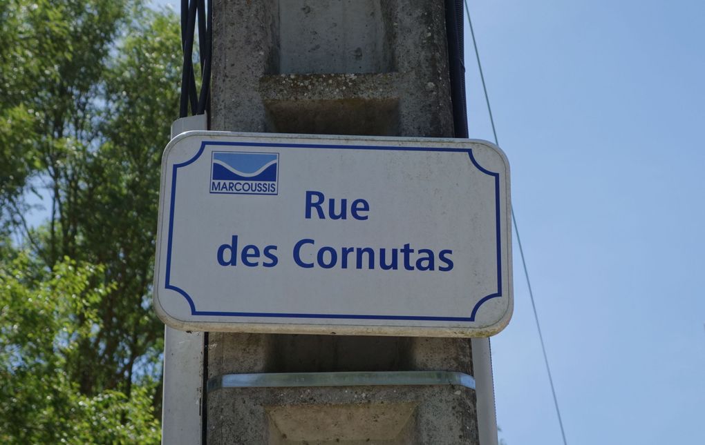 Marcoussis rando du 16 jun 2022