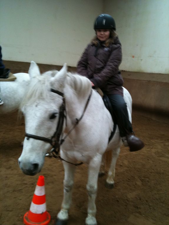 Les élèves de l'école Louise Michel et leurs poneys...