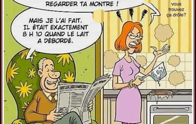 Humour 🤣🤣🤣🤣