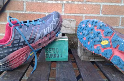 Want More ?  Hoka One One SPEEDGOAT 2 !