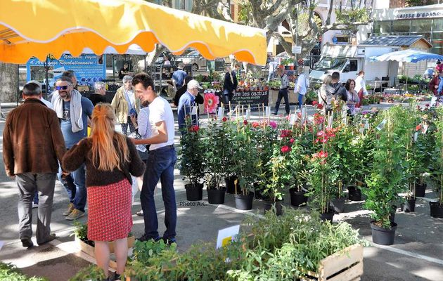 Six-Fours/Animation du Week-End : Gros Succès de la Foire au Plants