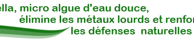 Différences entre Chlorella et Spiruline ?