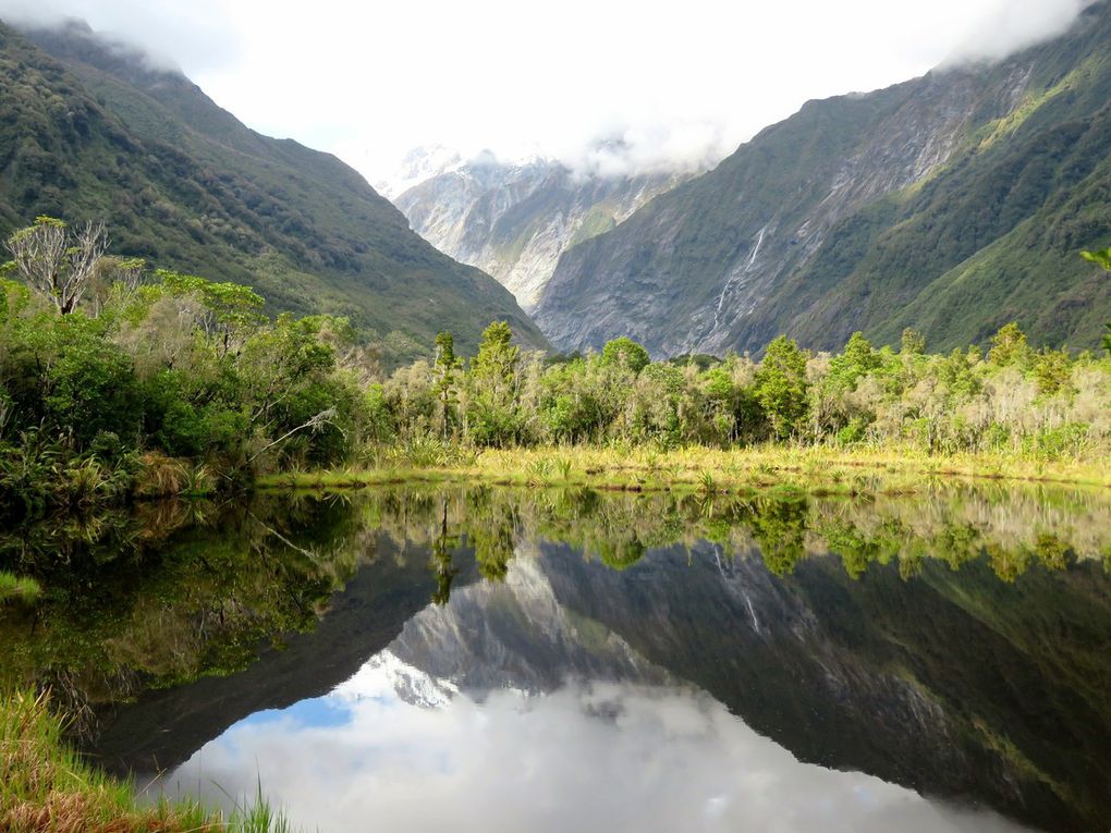 Robert track, Franz Josef Glacier